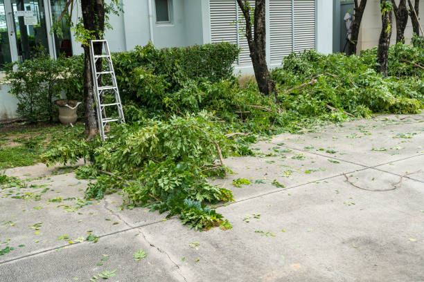 How Our Tree Care Process Works  in Grantley, PA